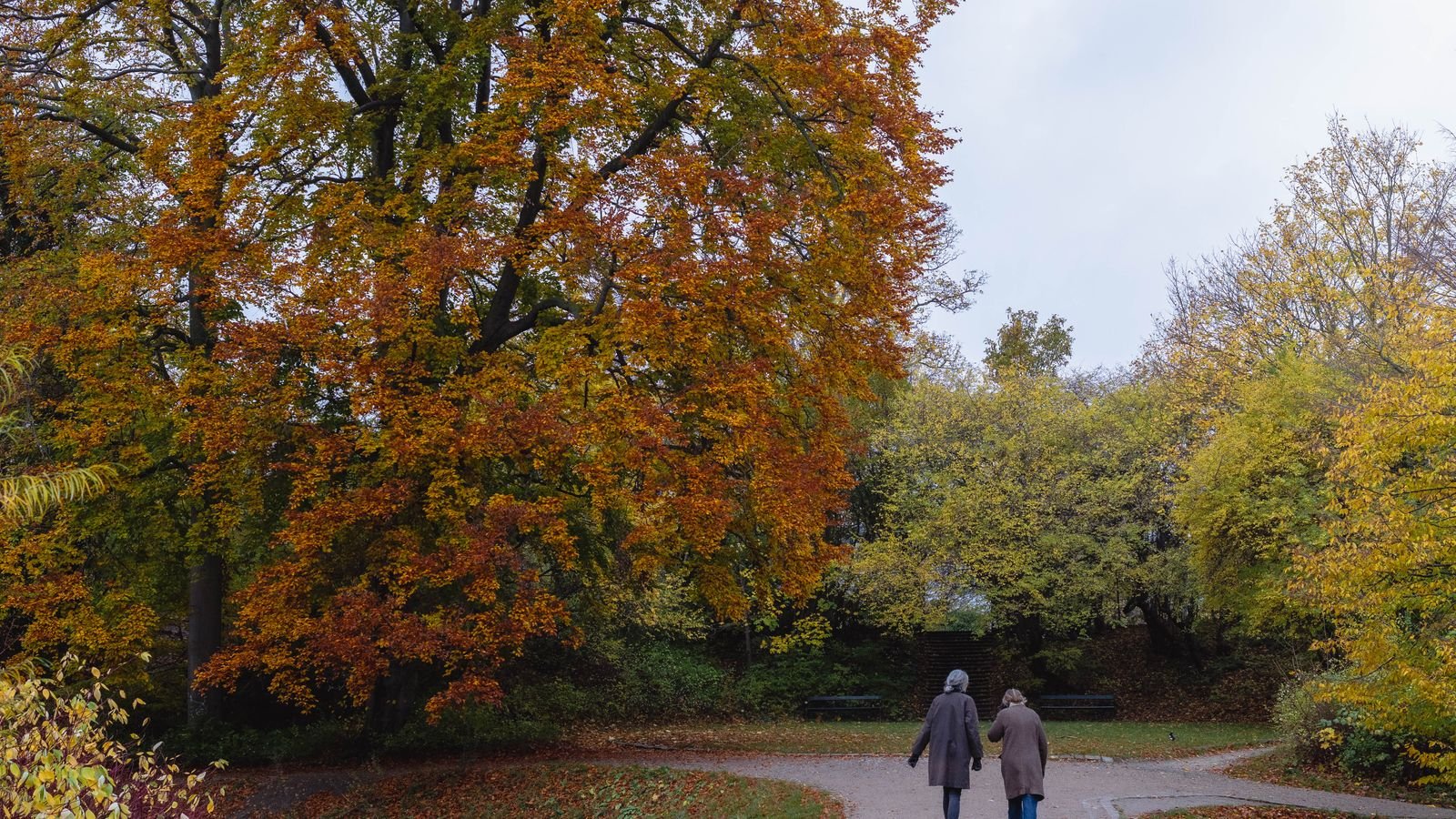 “Japanese Walking” Is Really Interval Walking, and the Research Behind It Holds Up